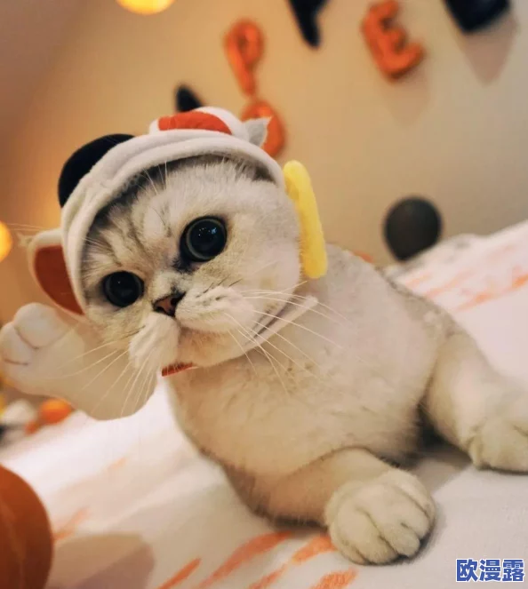 2024怀旧风潮再起:经典老游戏大全及必玩排行榜单 2024怀旧风潮再起:经典老游戏大全及必玩排行榜单