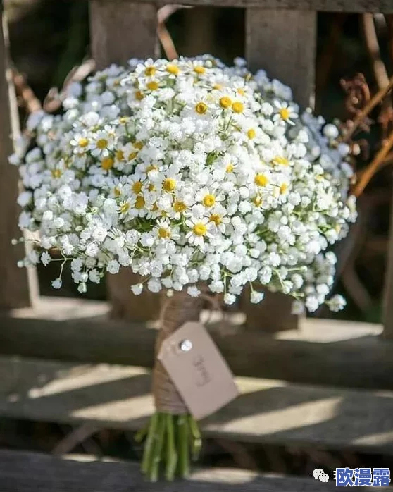 意大利满天星小小诊所：惊人消息曝光，竟然揭示了医疗行业潜在的巨大丑闻！