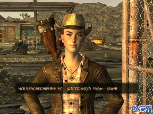 辐射4中哪个身形最受欢迎及如何自定义角色外观指南 辐射4中哪个身形最受欢迎及如何自定义角色外观指南