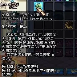 DNF游戏中哪个板甲职业在当前版本表现最为强势？