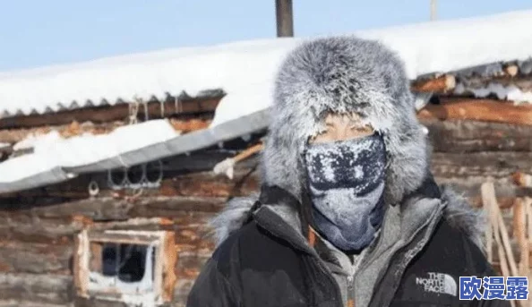 俄罗斯人又更又租美国：分析移民潮背后的原因与影响，探讨经济、文化和社会的多重因素