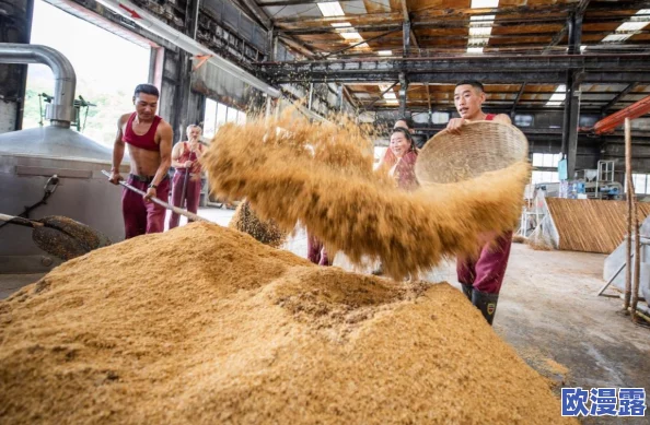 8888国产精华最好的产品：深入分析成分、功效与用户反馈，带你找到适合自己的护肤秘籍