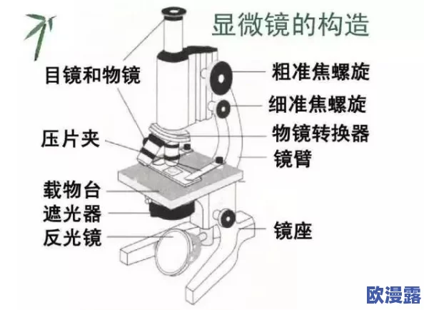 在线观看91精品国产hd:最新影视动态引发热议,网友纷纷讨论影片质量与观影体验! 在线观看91精品国产hd:最新影视动态引发热议,网友纷纷讨论影片质量与观影体验!