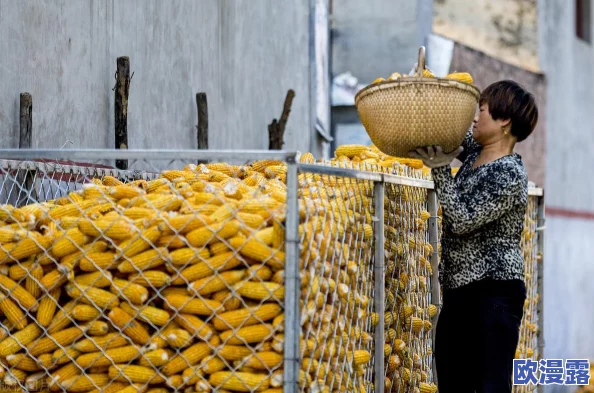 99精产三产区：推动区域经济发展，助力产业升级与可持续发展新进展