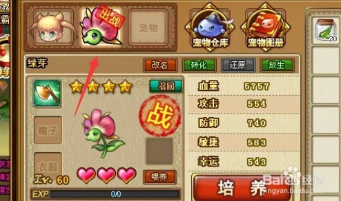 弹弹堂游戏评测:极烈火与极水果篮,哪个更坑玩家钱包? 弹弹堂游戏评测:极烈火与极水果篮,哪个更坑玩家钱包?