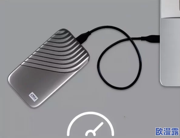 1极速版下载：全面解析其功能特点与用户体验，助力提升工作效率的最佳选择