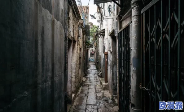 全家一起来黄梅徐海,突然发现古老传说中的神秘遗迹驚現,成为全网热议焦点! 全家一起来黄梅徐海,突然发现古老传说中的神秘遗迹驚現,成为全网热议焦点!