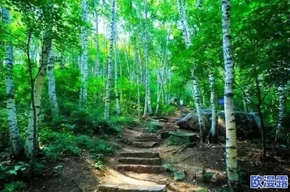 东南稀缺仙踪林：保护生态环境，助力生物多样性恢复的紧迫行动与未来展望