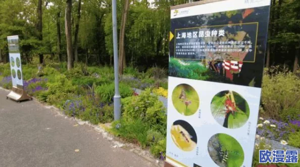 东南稀缺仙踪林：保护生态环境，助力生物多样性恢复的紧迫行动与未来展望