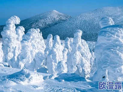 日本成年x片免费观看网站:最新动态与用户反馈,探讨安全性与内容多样性引发热议 日本成年x片免费观看网站:最新动态与用户反馈,探讨安全性与内容多样性引发热议