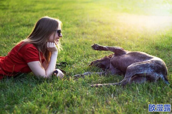 人狗畜禽company limited:探讨人与动物和谐共生的未来发展与商业潜力 人狗畜禽company limited:探讨人与动物和谐共生的未来发展与商业潜力