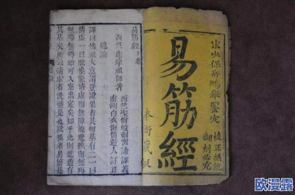 深度剖析：九阴真经手游自动刷图功能真实作用与影响分析报告