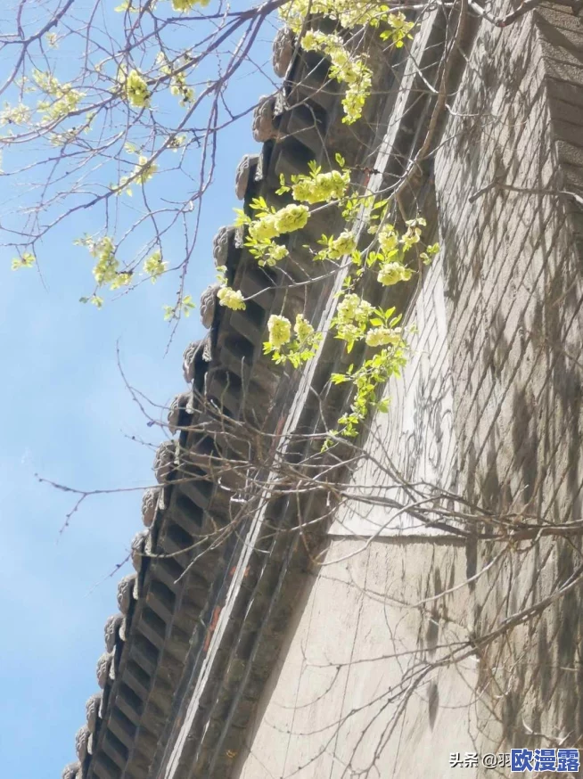 全面解析不思议迷宫圣者之塔高效通关攻略与技巧详解 全面解析不思议迷宫圣者之塔高效通关攻略与技巧详解