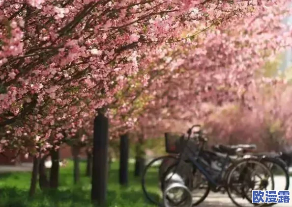 丁香八月婷婷:盛夏时节的花海绽放,带来无尽的芬芳与美丽景致 丁香八月婷婷:盛夏时节的花海绽放,带来无尽的芬芳与美丽景致