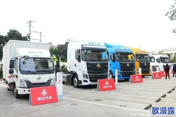 龙种肉车：全新升级版即将上市，带来更高效的运输体验与环保技术，助力绿色物流发展！