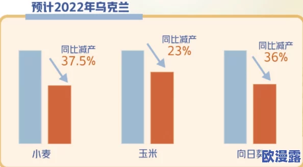 饥饿的阿：在全球粮食危机加剧的背景下，如何应对日益严重的饥饿问题与挑战？