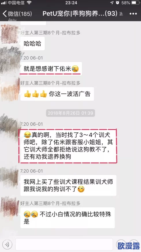 综合伊人久久：全新升级的用户体验与丰富内容引发热议，吸引更多年轻用户关注与参与
