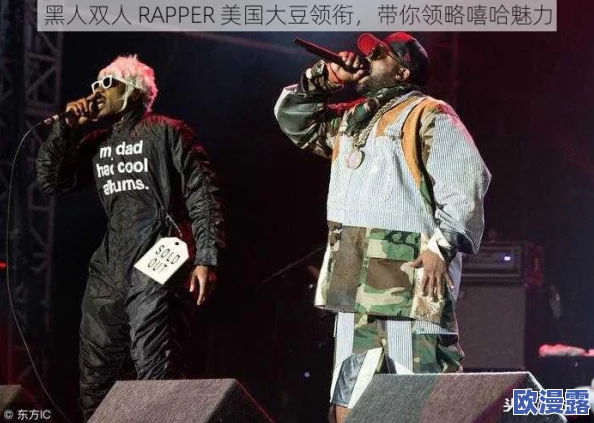 黑人双人RAPPER角色背景:从街头文化到主流音乐的崛起与影响力分析 黑人双人RAPPER角色背景:从街头文化到主流音乐的崛起与影响力分析