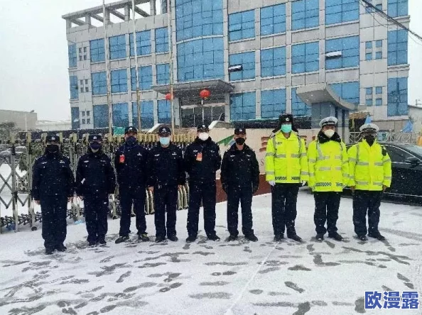 深度解析:守望先锋战队建设与高效指挥的经验心得全面分享 深度解析:守望先锋战队建设与高效指挥的经验心得全面分享