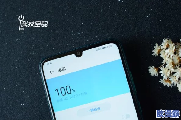 日韩欧美在线视频不卡免费视频：最新动态与用户体验分享，畅享无阻的视听盛宴！