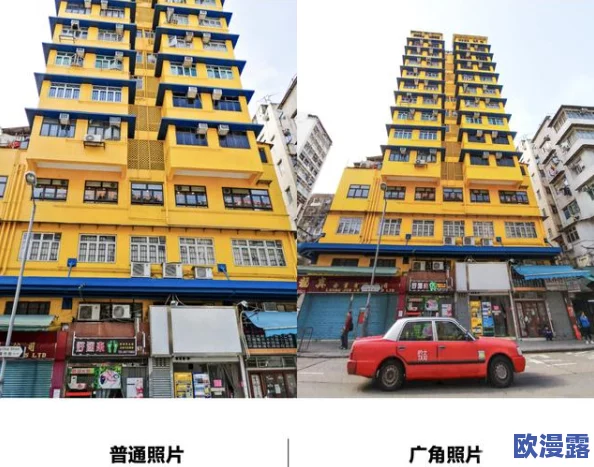 日韩欧美在线视频不卡免费视频：最新动态与用户体验分享，畅享无阻的视听盛宴！