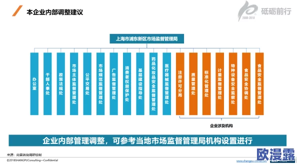 禁止黄台：最新动态揭示相关政策调整及其对社会的影响分析