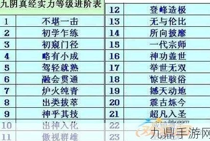 九阴真经手游深度解析：武当门派武学大全与技能详解