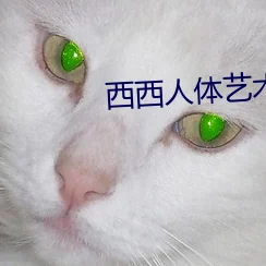 极品人体西西44f大尺度：最新动态曝光，令人惊叹的艺术表现与视觉冲击力再度升级！