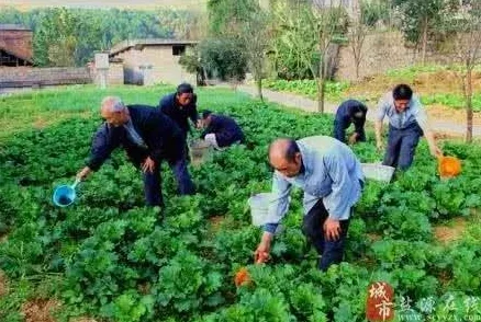 儿子辛勤耕耘母亲的土地:家庭农耕文化的传承与生态农业的未来发展如何相辅相成 儿子辛勤耕耘母亲的土地:家庭农耕文化的传承与生态农业的未来发展如何相辅相成