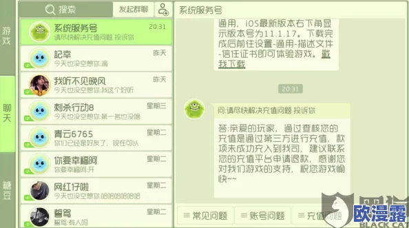 球球大作战充值后金额未到账问题解决方案与指导