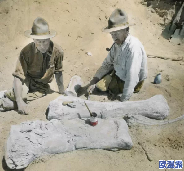 《究极数码暴龙》今日10时安卓新服325区刺熊兽火爆开启，全新冒险等你来战！