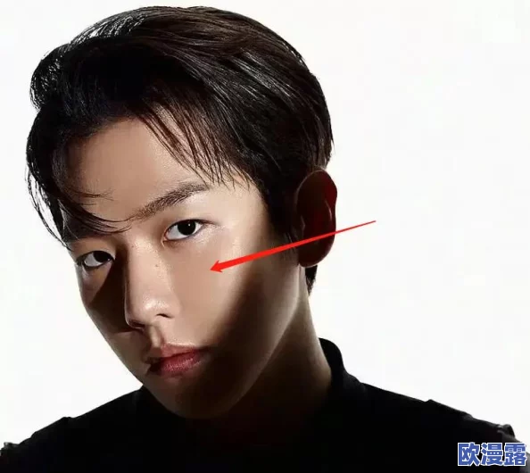 欧美视频：最新动态揭示行业发展趋势与观众偏好变化，深度分析市场竞争格局与未来前景