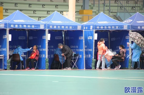 航海王强者之路：深度解析麻痹减怒阵容搭配策略分享