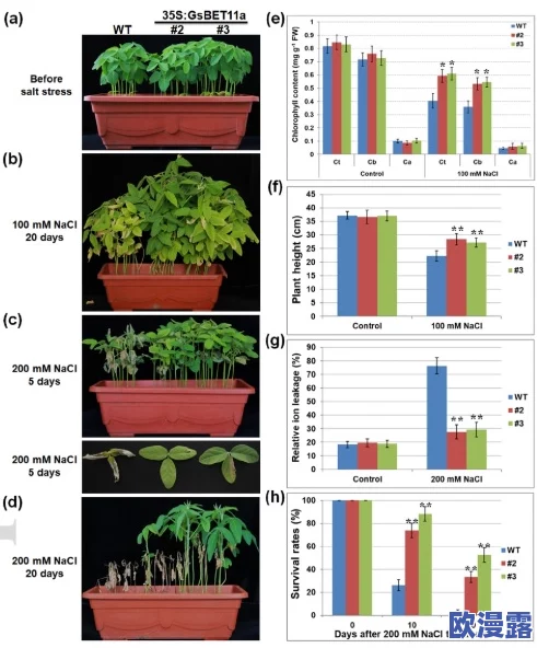 含羞草实验所黄口棋牌：研究表明植物对环境刺激的反应机制及其在教育中的应用潜力分析