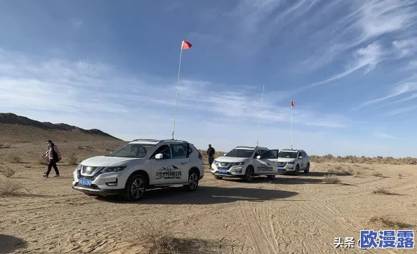 日产无人区未来发展前景：新技术应用与市场需求推动行业转型升级的最新动态分析