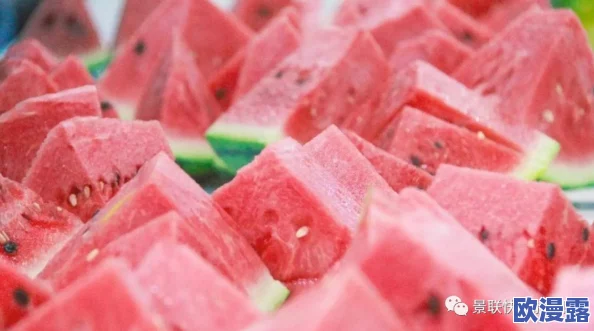 五一吃瓜网站官网入口：畅享美味，尽在这个假期的最佳选择，让你轻松获取最新资讯与活动信息！