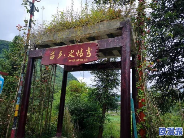 缘定三生情缘深,大官人专属:全面解析缘分系统介绍 缘定三生情缘深,大官人专属:全面解析缘分系统介绍