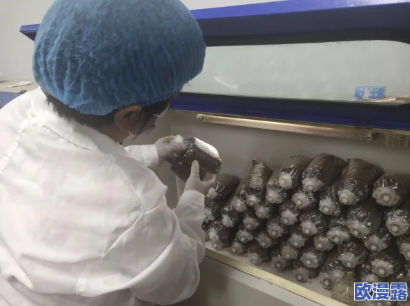 蘑菇吃瓜官网黑料爆料:最新内幕消息引发网友热议,真相究竟如何? 蘑菇吃瓜官网黑料爆料:最新内幕消息引发网友热议,真相究竟如何?