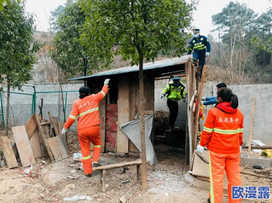 三级-黄-色-网址：最新动态揭示网络安全隐患与防护措施，用户需提高警惕以保护个人信息安全