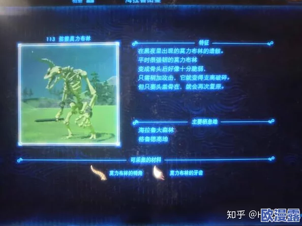 《塞尔达传说：荒野之息》新手玩家必备！快速升级与成长攻略指南