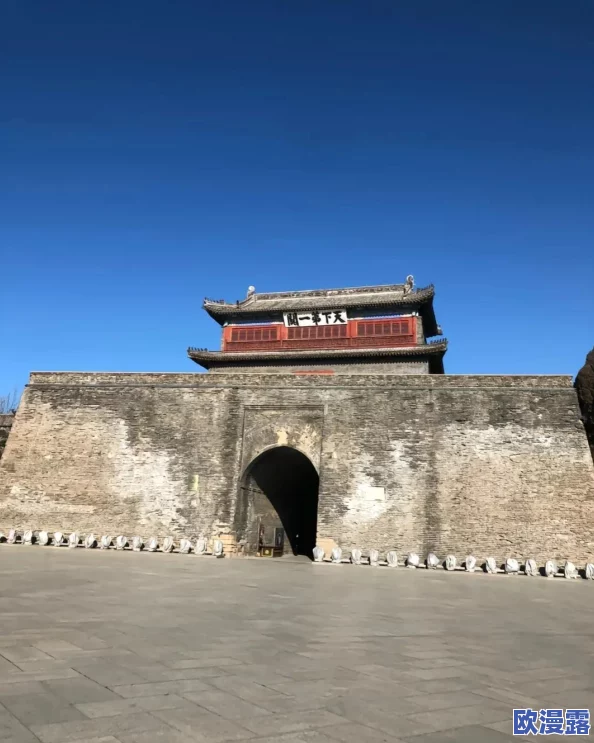 保卫萝卜3：深度解析宝石兑换体力叶子，性价比极低不划算策略