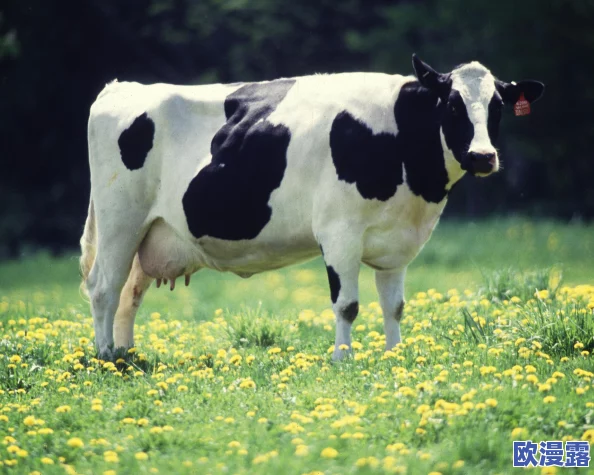 超级肉禽系统保安：全球首个智能监控技术上线，确保食品安全与动物福利双重保障！