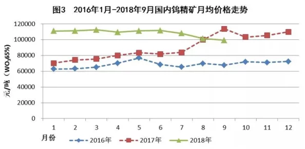 欧美BBBW8一12XXXX：最新动态揭示行业趋势与市场变化，深度分析未来发展方向与潜在机遇