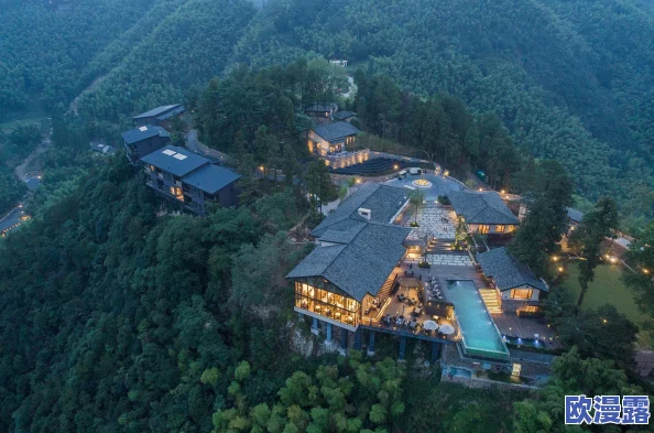 日欧一品之道：新动态揭示文化交流与创新合作的深远影响及未来发展趋势