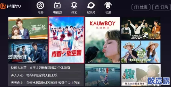 鲁大师影院在线观看十七岁，青春热血再燃，感受无尽的成长与梦想！