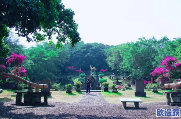 魔力时代攻略：解锁涌动熔岩5-2关卡高效通关技巧