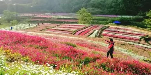 全民打怪兽韩服深度解析:七星伙伴被动技能全面详解指南 全民打怪兽韩服深度解析:七星伙伴被动技能全面详解指南