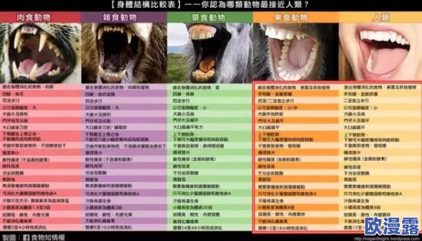 黑料不打烊,万里长征hl155.ccm：震撼内幕曝光，背后真相令人瞠目结舌！