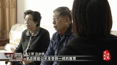 集巾营一级：新动态发布，助力提升服务质量与用户体验，推动行业发展迈向新阶段