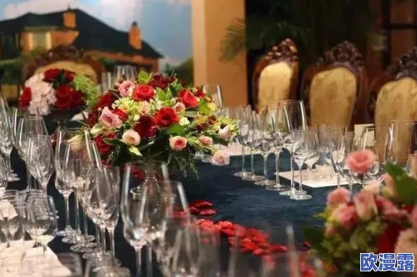 无套欧美老妇：最新动态揭示她们的生活方式与社交圈，展现出独特的魅力与风采，引发热议与关注